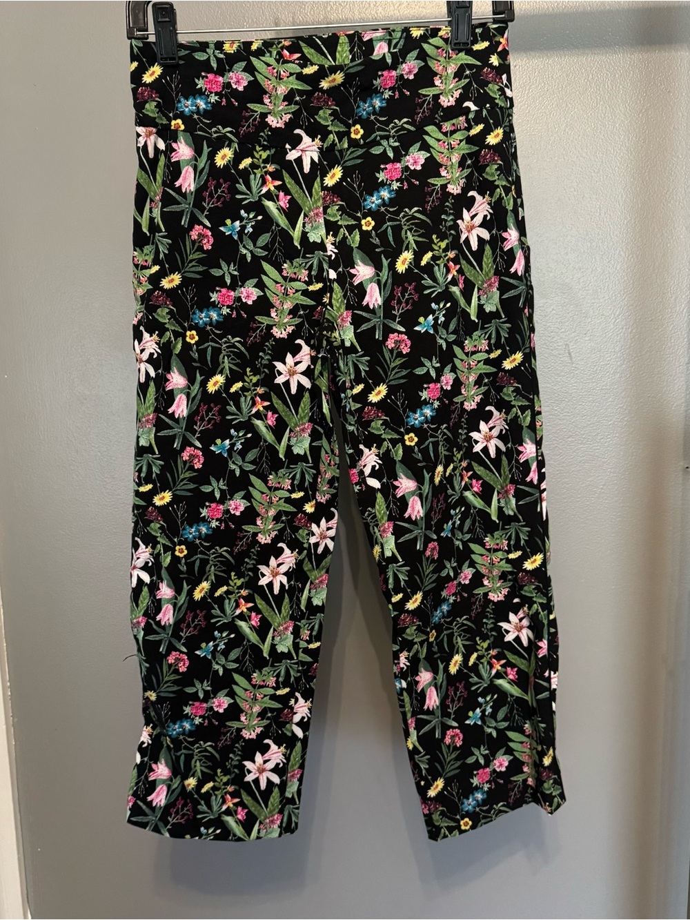 Roz & Ali Black Floral Pants with Multicolored floral Print